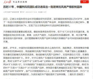 人民日报客户端：历时37年，中国热科院团队成功选育出一批耐寒抗风高产橡胶树品种